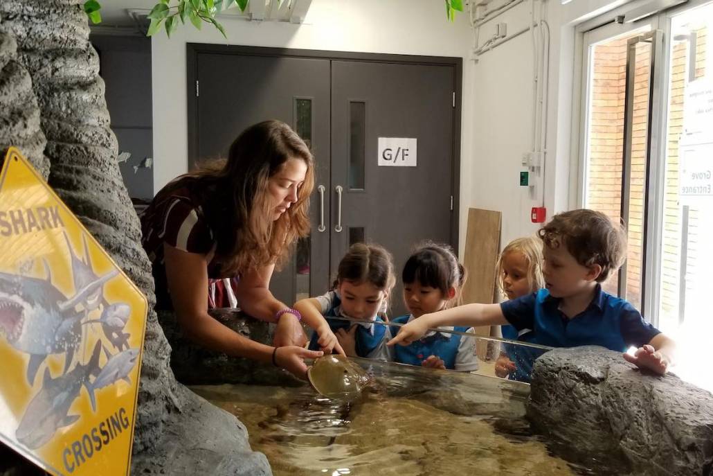 The Harbour School FISH summer camp