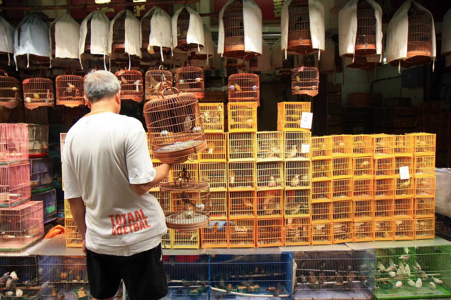 Bird market, Hong Kong