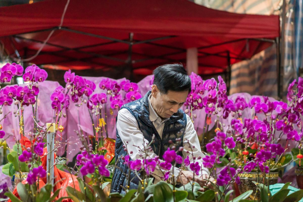 flower market hong kong chinese new year