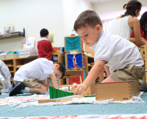 IMS International Montessori School