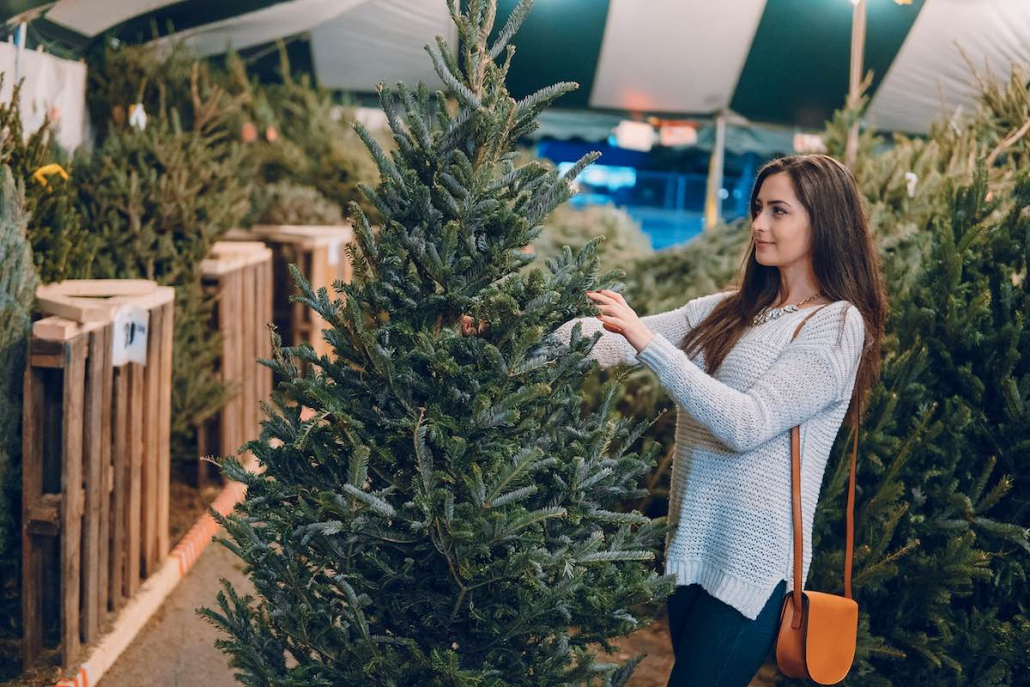 Christmas tree deals where to buy