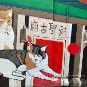 Cats of Ap Lei Chau header