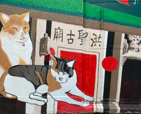 Cats of Ap Lei Chau header