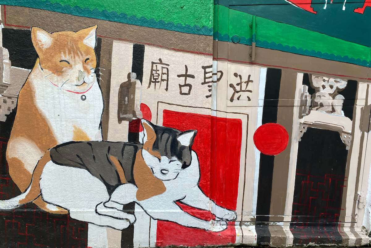 Cats of Ap Lei Chau header