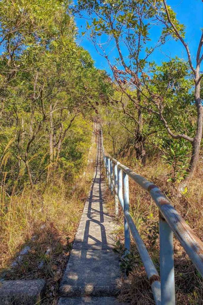 hiking tate's cairn hong kong