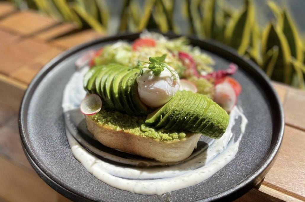 Avocado Toast Guide Elephant Grounds