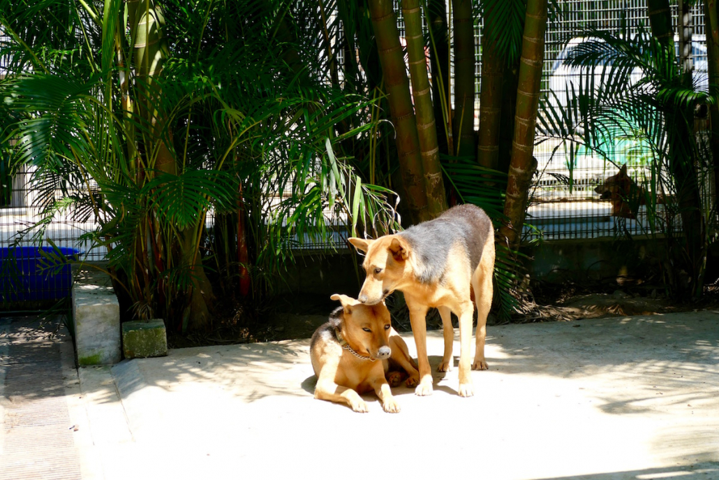 SKSFF, Sai Kung 