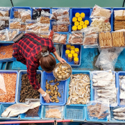 Seafood in Sai Kung